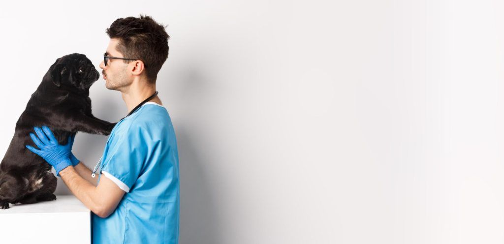 cabinet-veterinar-sector-4-1