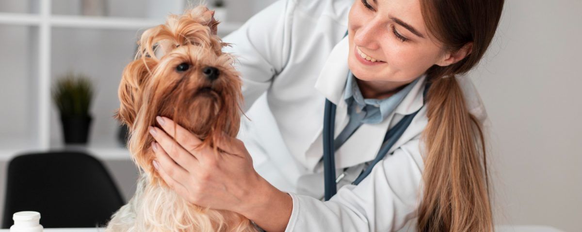 cabinet-veterinar-sector-4